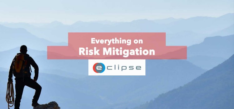 Risk Mitigation