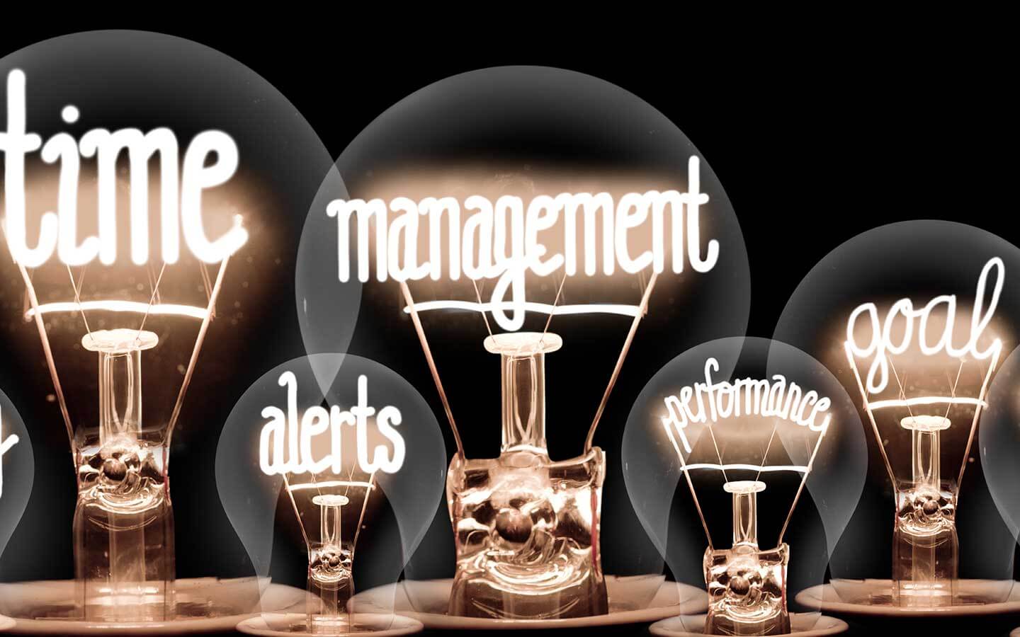 Risk Mitigation Strategies